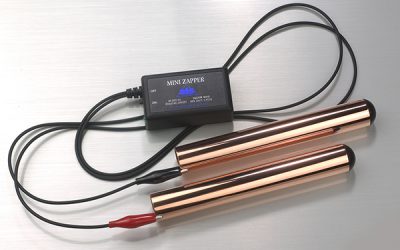 ZAPPER – Microbi, batteri e virus vanno in frantumi