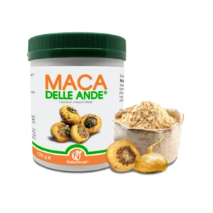 Maca delle Ande in Polvere