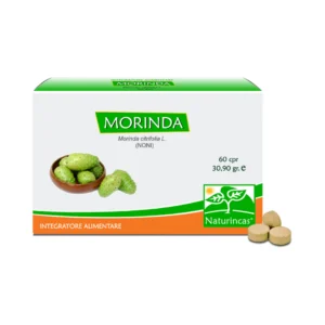 Morinda