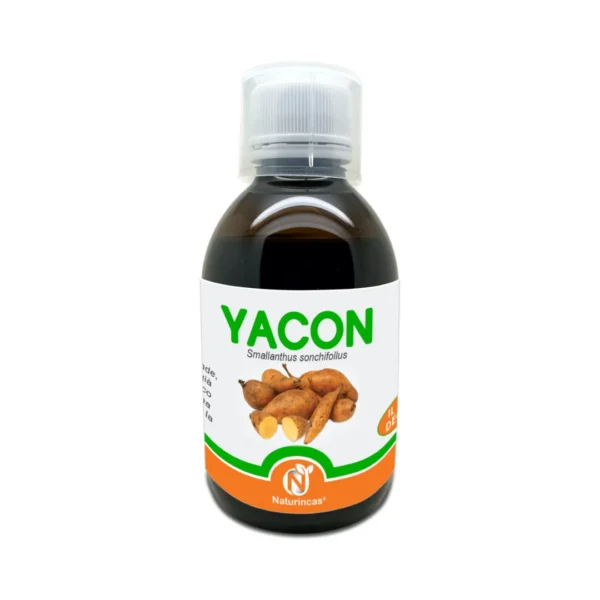 Yacon