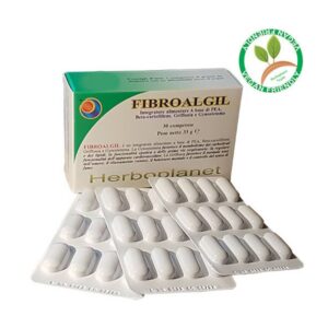 Fibroalgil