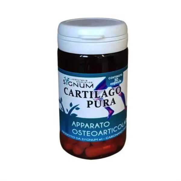 Cartilago Pura