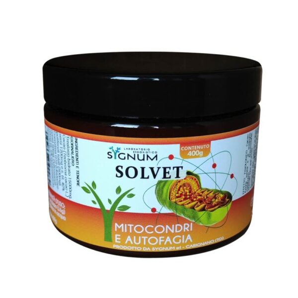 Solvet